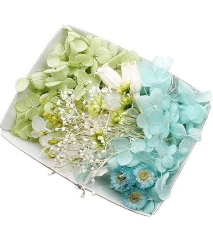 Amazon｜ハーバリウム花材セット1本分（ドライフルーツGR